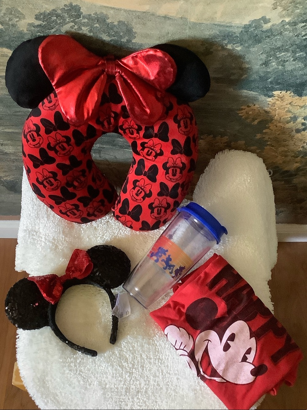 Disneyland Minnie Mouse Pillow, Mouse Headband, Tumbler,Mickey Mouse T Shirt